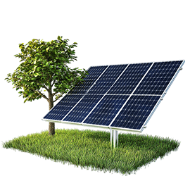 Panel solar fotovoltaico instalado sobre césped con árbol, símbolo de energía limpia y sostenibilidad ambiental.